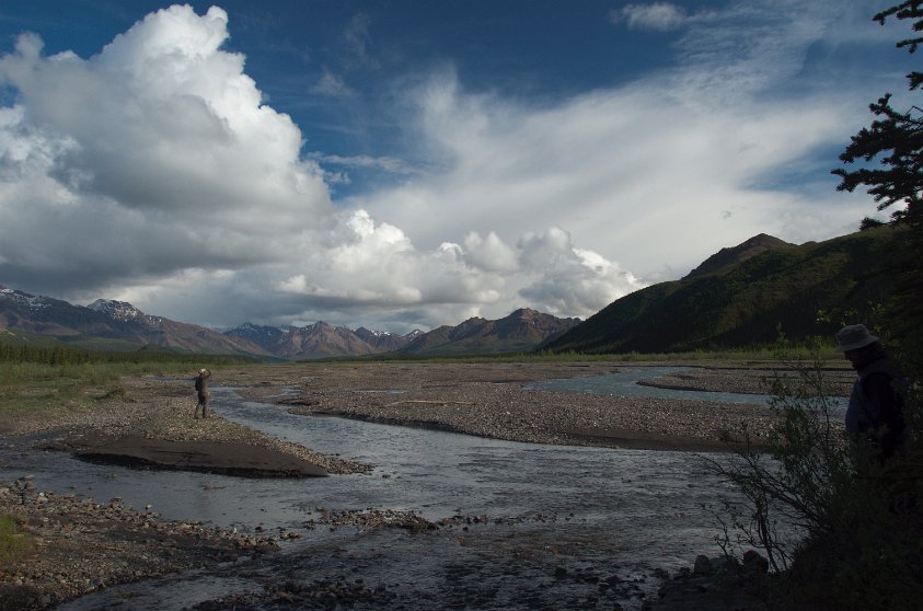 Teklanika River