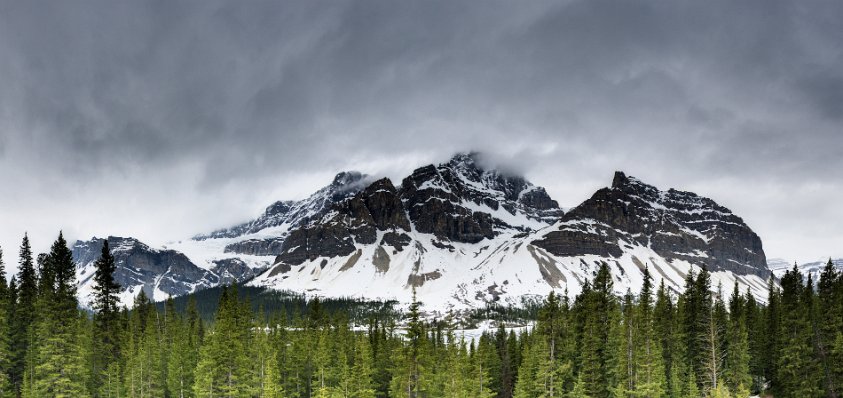 Crowfoot Glacier