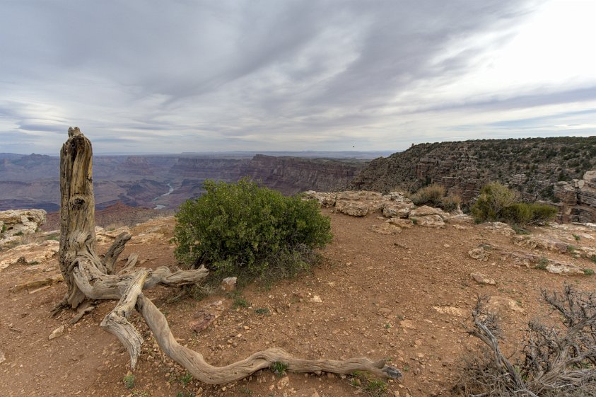 Grnad Canyon