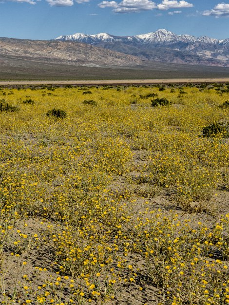 Panamint Valley