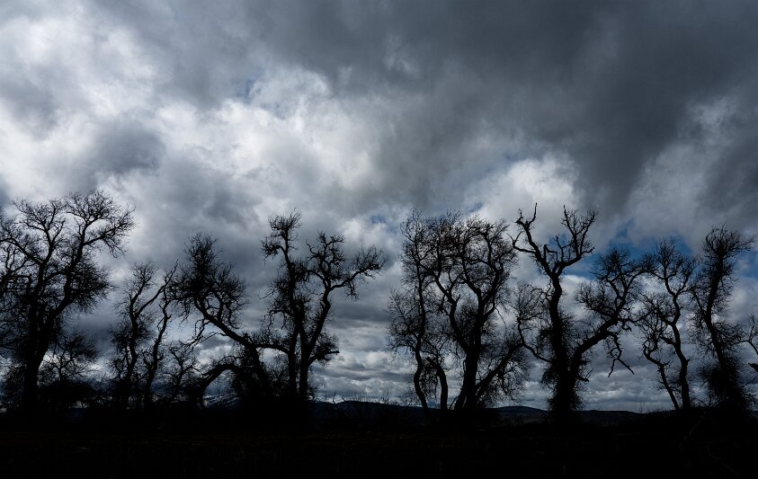 Lower Klamath National Wildlife Refuge