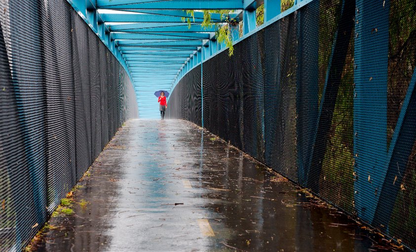 Rainy day