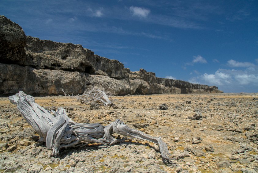 Washington-Slagbaai National Park