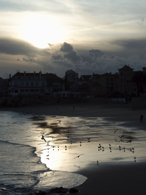 Beach view