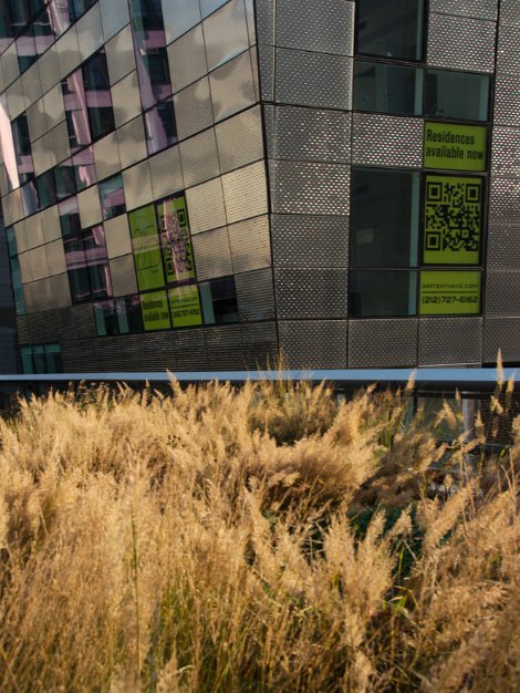 Highline Elevated Park