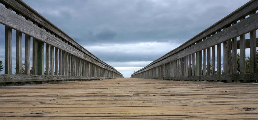 Cape Henlopen State Park, DE