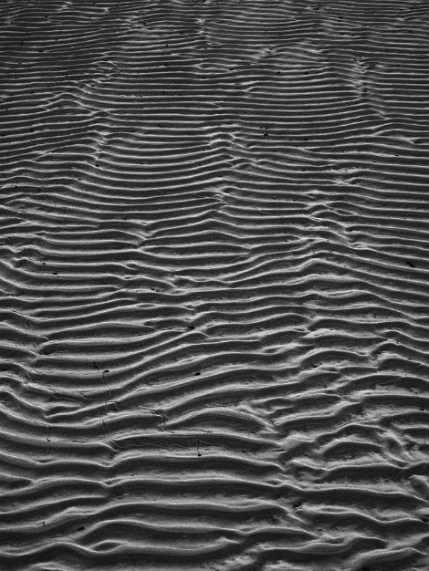 Sand at low tide