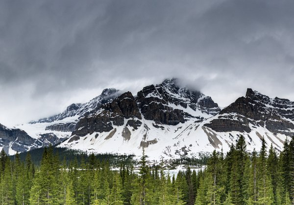 Alberta Alberta