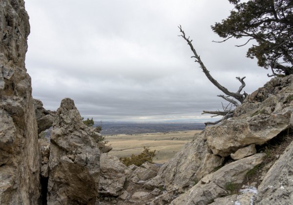 Montana Montana